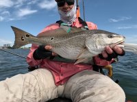 26&quot; Redfish #2 on 20240422